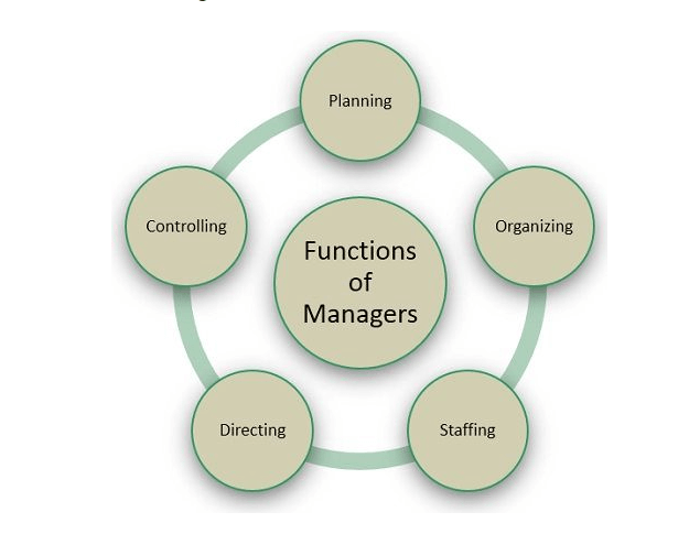 functions of manager